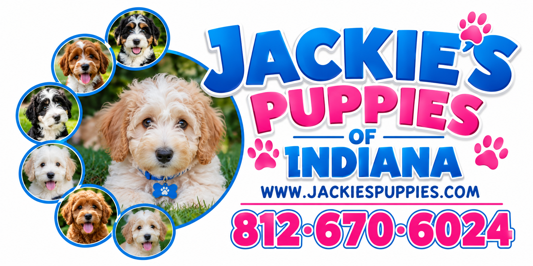 Jackie's Puppies of Indiana